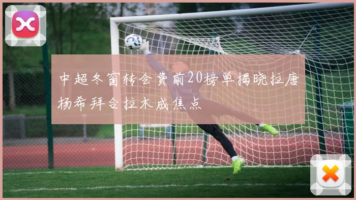 中超冬窗转会费前20榜单揭晓拉唐杨希拜合拉木成焦点