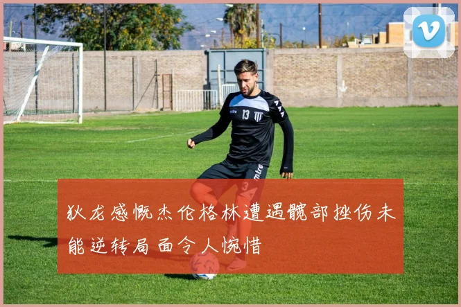 狄龙感慨杰伦格林遭遇髋部挫伤未能逆转局面令人惋惜