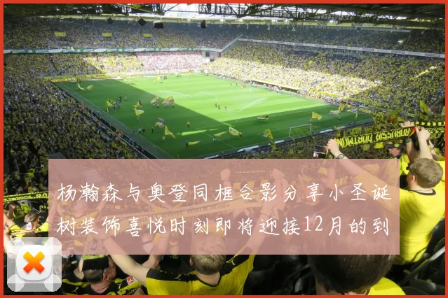 杨瀚森与奥登同框合影分享小圣诞树装饰喜悦时刻即将迎接12月的到来