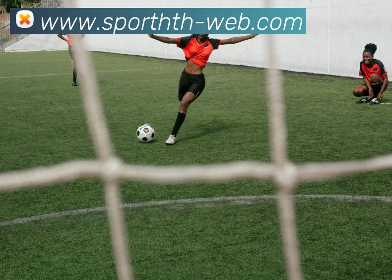 华体会体育服务体系